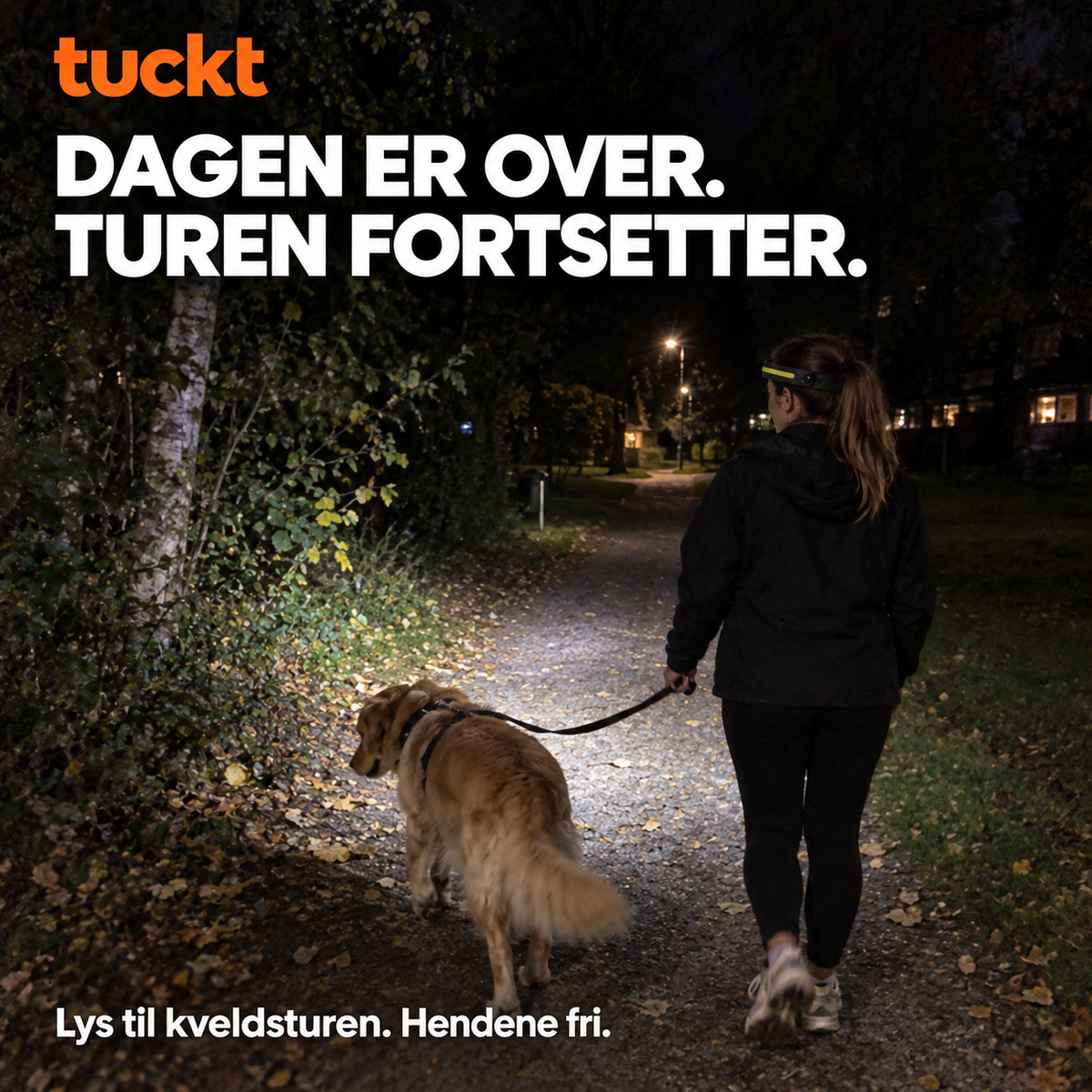 Tuckt Hodelykt