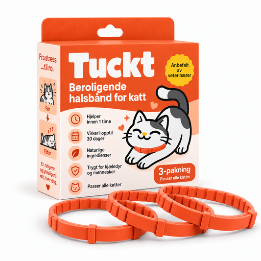 Beroligende Halsband for Katter - Reduserer Stress, Spraying og Angst