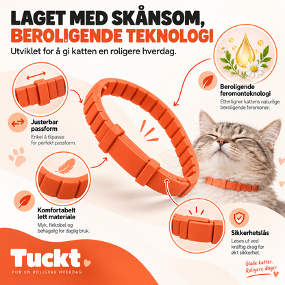 Beroligende Halsband for Katter - Reduserer Stress, Spraying og Angst
