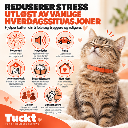 Beroligende Halsband for Katter - Reduserer Stress, Spraying og Angst