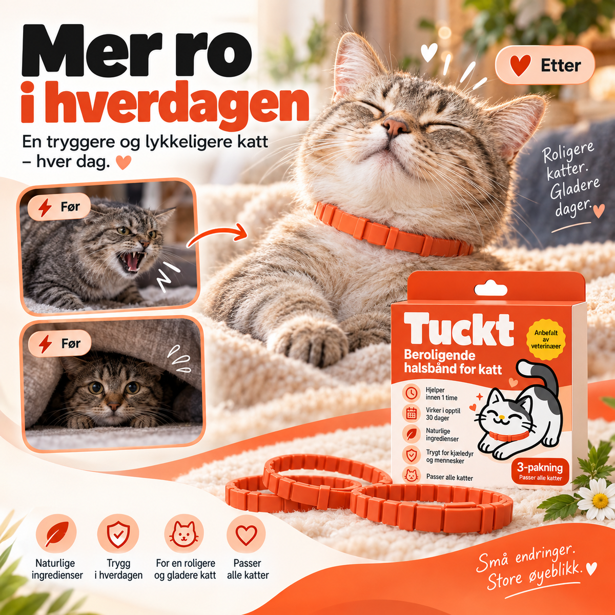 Beroligende Halsband for Katter - Reduserer Stress, Spraying og Angst