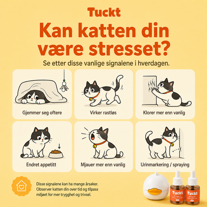 Beroligende diffusor for katt